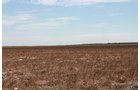 Property photo 91 - LAND AUCTION, 3255+/- Acres offered in 13 Tracts